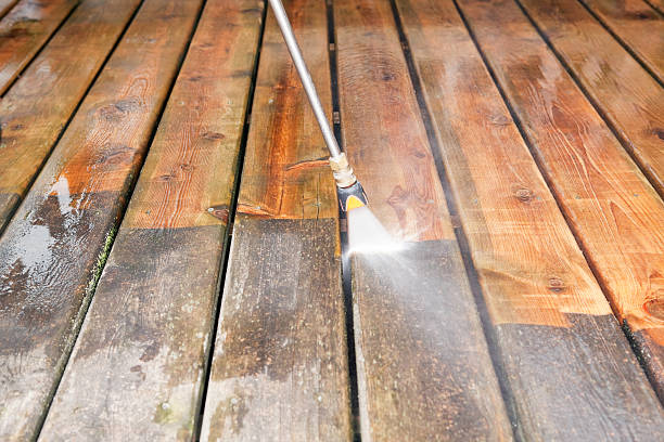 Best Gutter Cleaning  in Ohatchee, AL